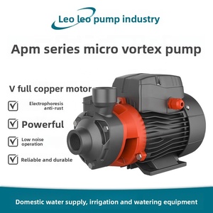 Bomba de Agua Limpia de 220V para Suministro de Agua Doméstico y Riego - Product Image 1
