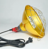Lampe chauffante infrarouge 175W 250W pour élevage de volailles, poulets, porcelets, ampoule chauffante pour animaux, douille E27