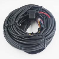 Kit d'ECU GNC GPL automobile faisceau de câbles pour 3 4 cylindres système de contrôle d'injection séquentielle de Conversion de gaz de voiture Aeb Mp48