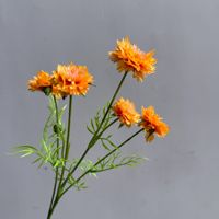 Bunga Sutra Buatan 5 Tangkai Cornflower Gaya Korea Segar Buatan Tangan Tahan Lama untuk Dekorasi Lorong Pernikahan dan Properti Foto