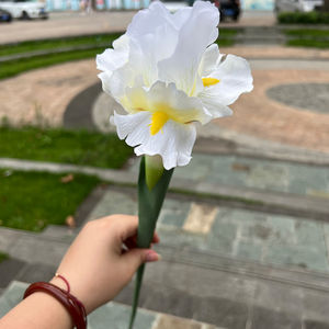 EW rival rrival Colorful Artifcial arden lice ends Pend ucucket Fo Wedding ececoration ililk Flowers - Product Image 2