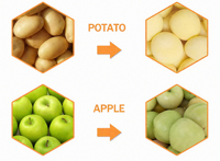 Grote Capaciteit Stoompeeling Hydro Snijden Bevroren Frietjes Machine Aardappelchips Productie En Verwerkingslijn
