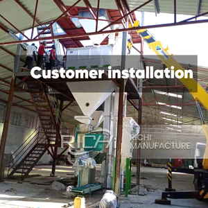 مصنع إنتاج أعلاف الحيوانات RICHI حاصل على شهادة CE، خط إنتاج حبيبات علف الخيول والدجاج بسعة 3-4 طن/ساعة - Product Image 6