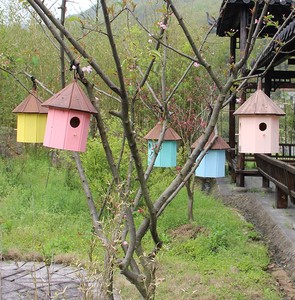 2021 neues Massivholz-Familien vogelnest im Innen-und Außenbereich - Product Image 4