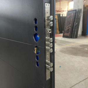 TECHTOP Anti-Theft Steel <strong>Door</strong> Latest Indian <strong>Design</strong> Double <strong>Door</strong> for Main Entrance Home <strong>Pooja</strong> Room &amp; Living Room Gate - Product Image 5