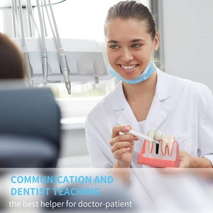 4 Times Medical Science Education Studying Dental Implant Model Removable <b>Teeth</b> Multi-Purpose <b>Teeth</b> <b>Whitening</b> Accessories - Product Image 6