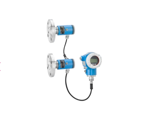 Medidores de Nivel por Radar de Onda Guiada Serie Levelflex FMP de Endress+Hauser: FMP50/FMP51/FMP52/FMP53/FMP54/FMP55/FMP56/FMP57 - Product Image 2