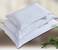 Almohada de Cáscara de Trigo Sarraceno Dulce, Orgánica, Importada, con Funda Exterior Personalizada