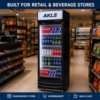 Réfrigérateur commercial AKLS 300L à porte vitrée simple, vitrine réfrigérée verticale pour boissons, idéal pour les magasins de proximité et supermarchés