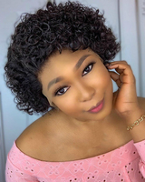 Vente en Gros 100% Remy Vierge Cuticule Aligné Brésilien Lace Front Perruque Vendeurs Court Pixie Cut Perruques de Cheveux Humains pour les Femmes Noires