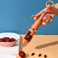 Nieuw Draagbaar Fruit Kernapparaat Roestvrijstalen Kersen Pitter Separator Rode Datum Jujube Corer Verwijderaar