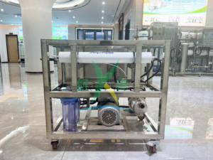 Pequeño equipo de desalinización de agua de mar 1000LPD Máquina de tratamiento de desalinización de agua salada de ósmosis inversa adecuada para Isla - Product Image 2