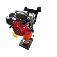 כדור הארץ מדוך מחיר 5.5hp בנזין מנוע רטט מדוך מכבש GX160 בנזין יד בטישה מדוך למכירה