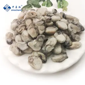 Quality Frozen Shellfish Oyster Meat IQF Oyster Meat