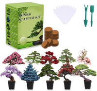 Kit de culture de plantes personnalisé avec outils différents emballages de fleurs de bonsaï créatif à faible coût excellente idée cadeau