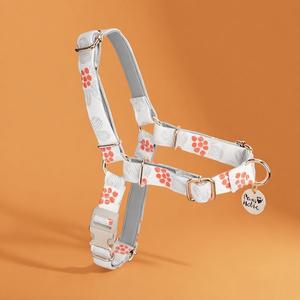 Arnés para Perro Talla S, Premium, de Lujo, Moderno, Anti-Tirones, Cómodo, de Algodón, Transpirable, Ecológico, Duradero y Encantador - Product Image 1