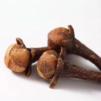 Girofle Séché Naturel Pur de Qualité Alimentaire, Fourniture Directe Usine, Bourgeons de Girofle Origine Guangxi, Riche en Eugénol Extrait par Solvant