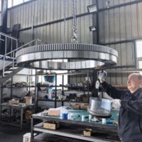 Roulement de rotation à engrenages externes/internes de haute précision, directement de l'usine, pour excavatrice, grue, tracker solaire, éolienne