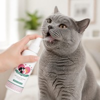 Spray buccal pour animaux de compagnie OEM pour chiens et chats, haleine fraîche, aide à la vitalité, nettoyage des dents, entretien, soin dentaire, 100 ml