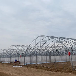 Film PC Sheet Single-Span Hydroponic Strawberry and Tomato Growing Greenhouse Projet clé <span class=keywords><strong>en</strong></span> main Poly Tunnel - Product Image 5