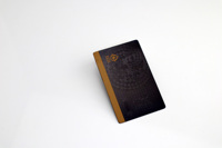 Carte VIP professionnelle en acier inoxydable, noire, plaquée argent, impression UV, pour événements sportifs et expositions