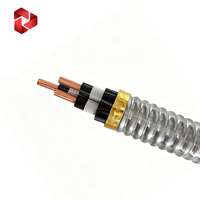 Cable para Bomba de Aceite Sumergible/ESP, Tipo Redondo, Blindado con Cinta de Acero Galvanizado, Aislado y Revestido con Goma de 3KV/5KV