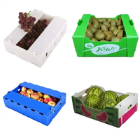 PP golfkartonnen plastic verpakkingsdoos Groenten Asperges Op maat gemaakte maat okra waterdicht duurzaam druiven gember transport omzetdoos