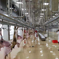 Solution industrielle d'abattage du bétail, ligne de transformation de la viande de chèvre et d'agneau
