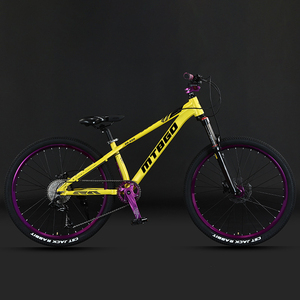 どんな地形も制覇。プレミアムな26フェニックス自転車性能。