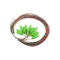In Stock Original 2m Length G657A1 12 Cores Singlemode 9/125 Fiber Optical Jumper SC APC Fiber Optic Patch Cord Pigtail Cables