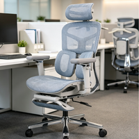 Chaise de bureau ergonomique moderne en maille, best-seller, chaise d'employé, chaise d'étude, pieds en acier, accoudoirs réglables, repose-pieds dissimulé, silencieuse