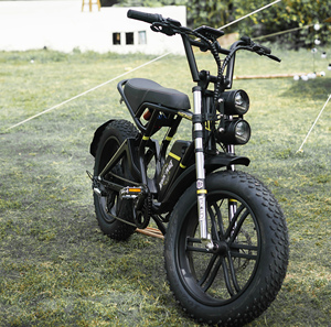 Vélo électrique tout-terrain 4LEAF 20 pouces, batterie au lithium 48V 18.6AH, cadre en alliage d'aluminium 500W, 7 vitesses, double frein - Product Image 5