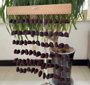 <span class=keywords><strong>J</strong></span> u <span class=keywords><strong>J</strong></span> u Seed Shell Chimes pour la guérison sonore, les bains de gong ou les séances de percussion acoustique. - Product Image 2