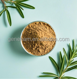 Ekstrak Rosemary <span class=keywords><strong>Natural</strong></span> Food Grade, untuk solusi perawatan berbasis tanaman hewan peliharaan dalam kemasan Drum suplemen bubuk asam Carsonic - Product Image 4