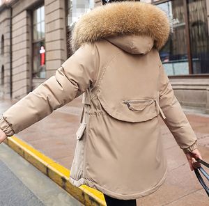 <span class=keywords><strong>M</strong></span>-3XL gezupfte Baumwoll jacke Wintermantel Big Collar Baumwoll jacke Kurze Taille Baumwoll jacke - Product Image 3