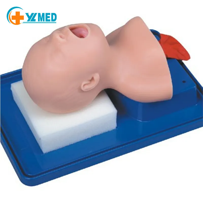 China Medische Wetenschap Neonatale Endotracheale Intubatie Model Voor Onderwijs Verpleegkundige Opleiding Modellen