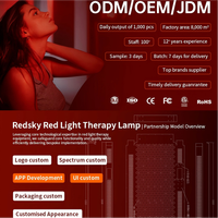 Appareil de beauté pour salon REDSKY personnalisable, lampe à lumière rouge, 660 nm 850 nm, panneau de luminothérapie LED infrarouge proche