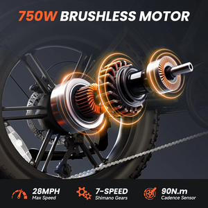 R002Plus 48v 750w ยาง 20 นิ้ว แบตเตอรี่ 15ah เบรกไฮดรอลิกเต็มระบบ มอเตอร์ไซค์วิบากสำหรับแข่ง - Product Image 6