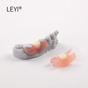 Resina Flessibile per Protesi Dentarie LEYI DFD01, Colore Rosa Trasparente, Purezza 100%, Scadenza 24 Mesi, per Cliniche e Laboratori Dentali, 1kg - Product Image 5