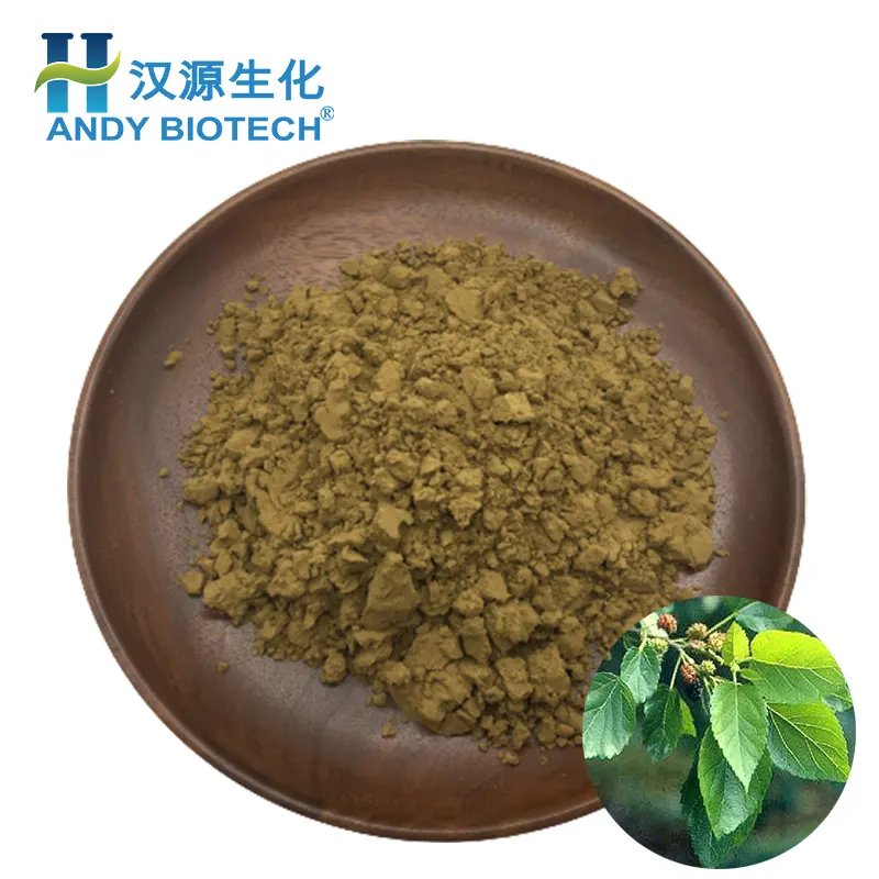 Sumber pasokan pabrik ekstrak daun murbei DNJ1 % bubuk ekstrak daun murbei