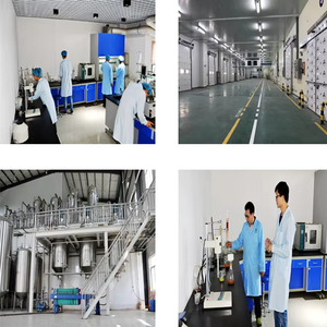 B.c.i cung cấp chất lượng cao nhà máy Piper nigrum 98% <span class=keywords><strong>Piperine</strong></span> Hạt tiêu đen chiết xuất bột - Product Image 4