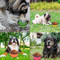 Bol pour chien pliable 2 packs de bols de voyage portables et pliables bols d'eau pour animaux de compagnie mangeoires pour chiens chats et petits animaux