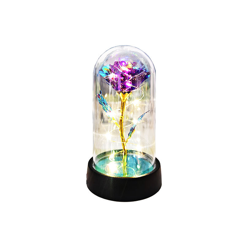 Fleur pourpre + lumière blanche chaude