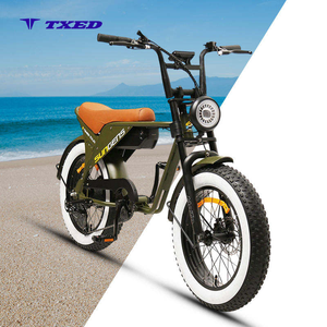 Vélo électrique tout-terrain TXED style <span class=keywords><strong>vintage</strong></span> avec pneus de 20 pouces, batterie au lithium 48V/250W 14,5Ah, freins à disque mécaniques avant/<span class=keywords><strong>arrière</strong></span>, pneus larges - Product Image 1
