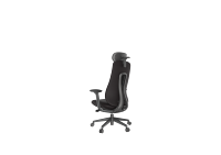 Chaise de bureau ergonomique avec accoudoirs 4D, appui-tête 3D, soutien lombaire réglable, chaise d'ordinateur inclinable