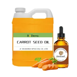 Venta al por mayor prensado en frío 100% aceite de semilla de zanahoria natural puro