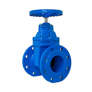 Válvula de Compuerta de Cuña de Hierro Fundido con Asiento Metálico y Vástago Fijo PN16 DN50 DN100 2025 - Product Image 3