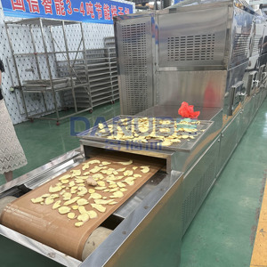 Advanced Ginger Slice Tunnel Dryer Ginger Dehydrator Equipment Ginger Slice Microwave Drying Machine - Product Image 4