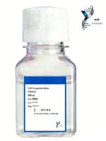 YUNTUO BIO YC010 50x B27 de haute qualité, plastique moyen spécialisé pour la culture de cellules souches