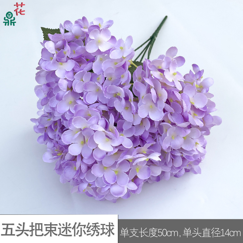 Mini Hortensia à cinq têtes WZT Violet clair